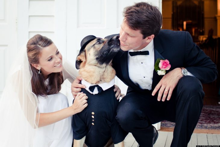 boda perro con traje