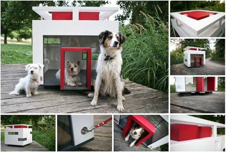 Diseño moderno de casita para perro 