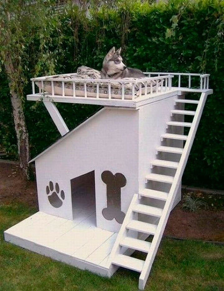 15 casas muy creativas que harán que tu perro sea feliz Cerca creativo Casas De