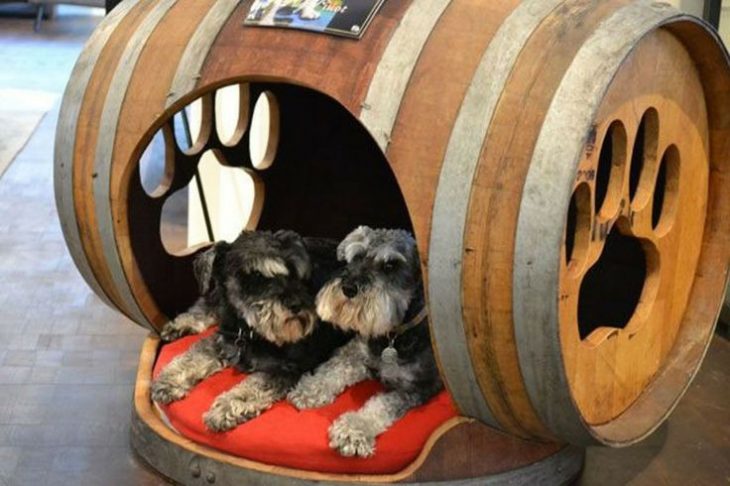 Casita de perro dentro de un barril 