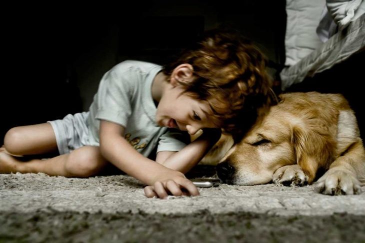 Niño feliz jugando junto a su perro labrador