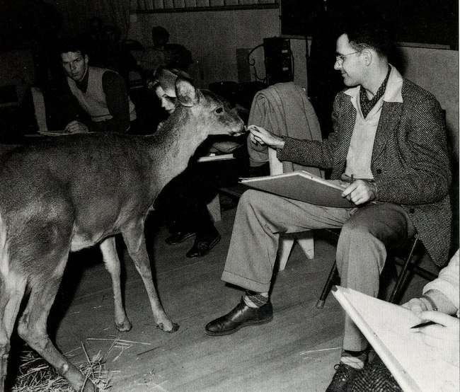 hombre sentado junto a un venado y dibujando al animal 