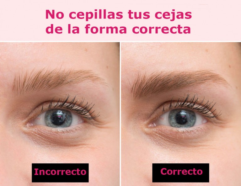Manera correcta e incorrecta de cepillar las cejas