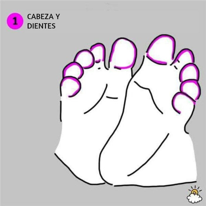 ilustración cabeza y pies reflexiología de pies para salud de tu bebé