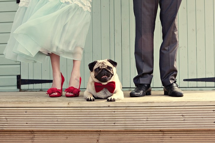 fotos de boda con pug