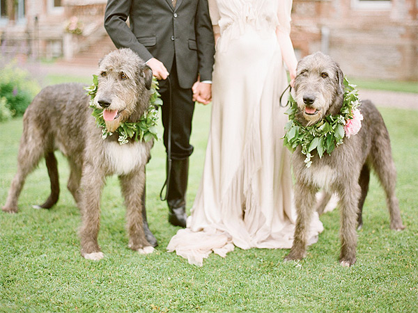 boda con sus perros