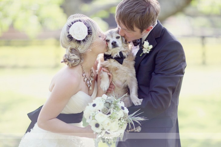 amos con su perro beso