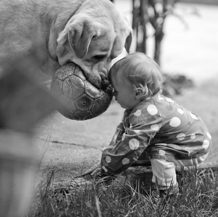 Un niño y su perro jugando con una pelota de futbol