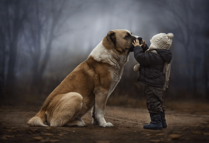 Un niño parado frente a su perro tocando su hocico 