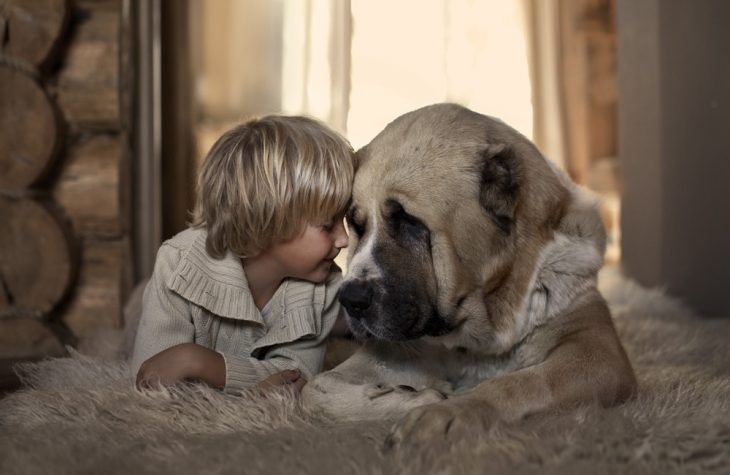 Un niño y un perro juntando sus cabezas 