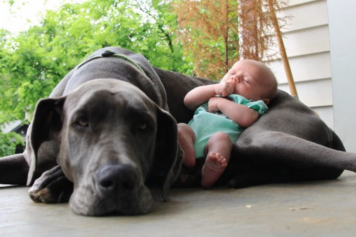 Un bebé recostado sobre su perro 