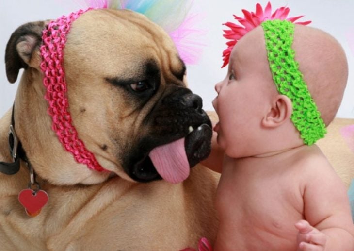 Una bebé frente a su perro con cara de asombro y el perro sacando la lengua de lado 