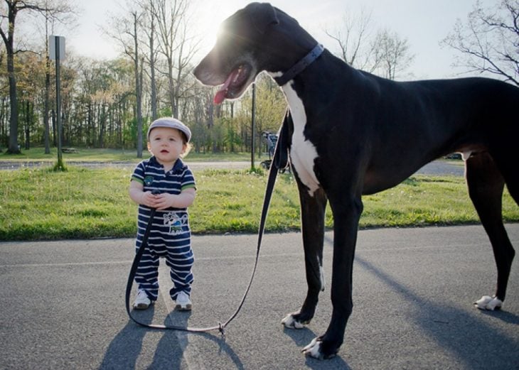 Un niño parado frente a su perro sosteniéndolo con una cuerda 