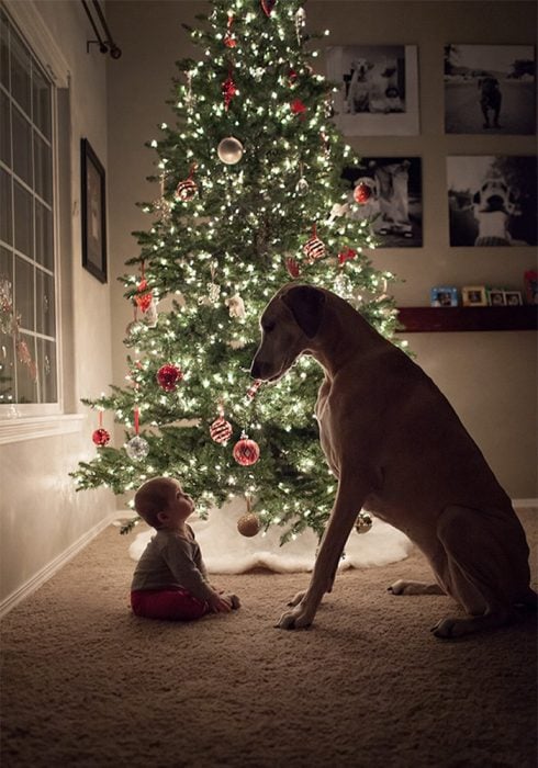 Un perro y un niño frente a un árbol de navidad sentados en el suelo 