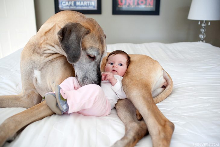 Una bebe recostada sobre su perro en una cama 