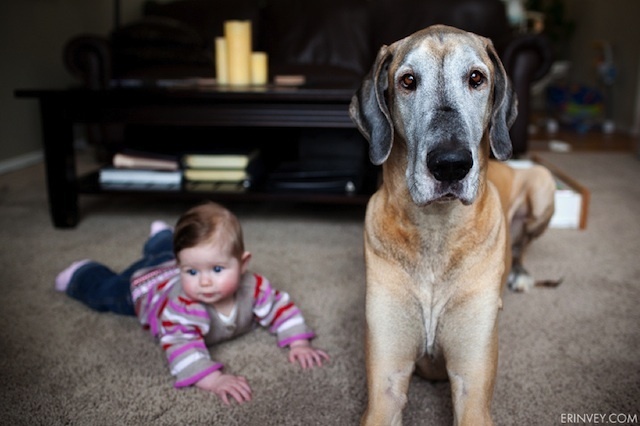 Niña recostada a un costado de su perro