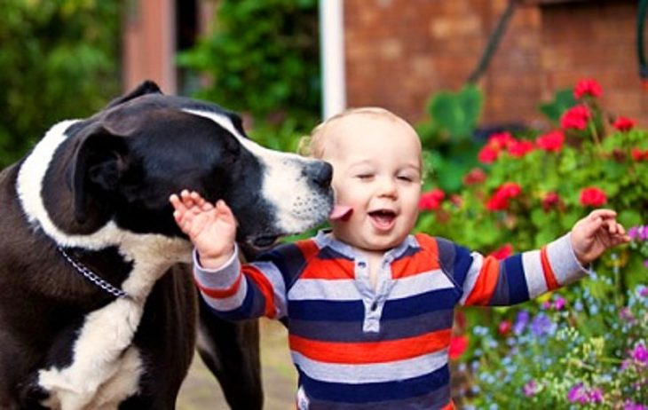 Un niño caminando con su perro mientras le lame un cachete 