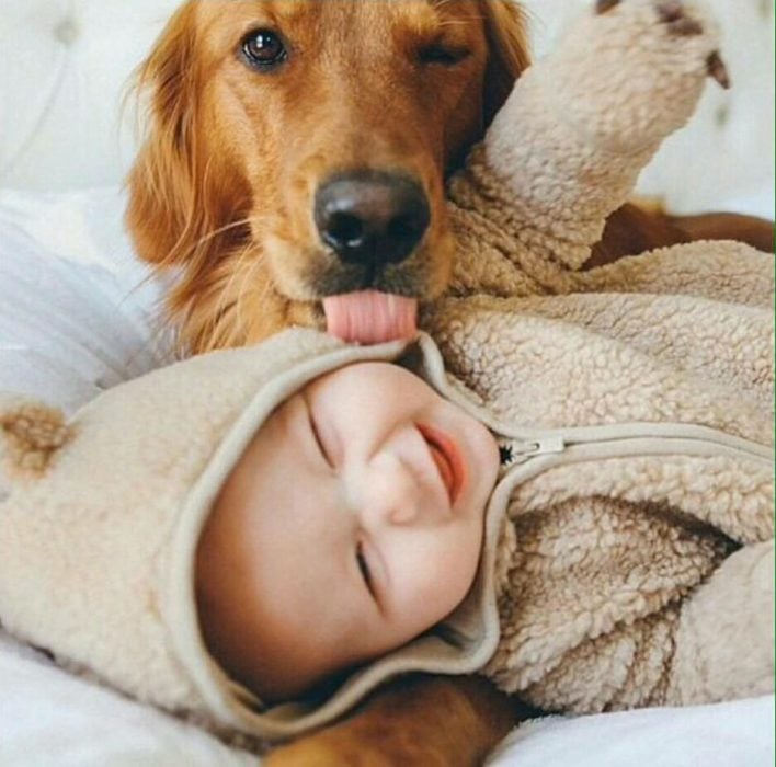 Un perro lamiendo el cachete de un bebé 