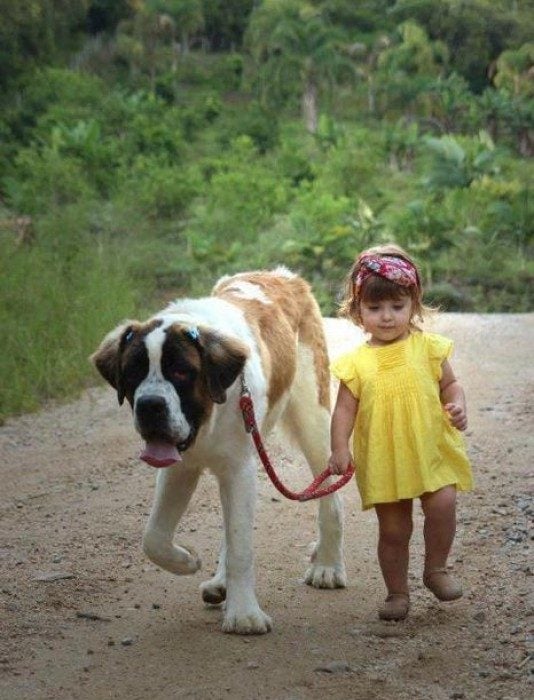 Una niña paseando a su perro 