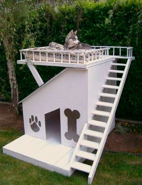 Casita de perro dos pisos y diseños en su puerta 