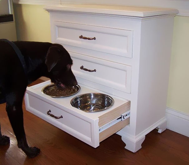 perro comiendo de su plato que se encuentra en una cajonera 