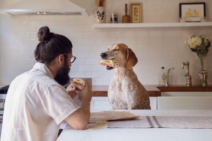 Hombre peinado con bun desayunando con su perro