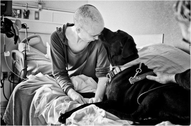 fotografo retrata a su esposa con cancer hasta que muere (13)