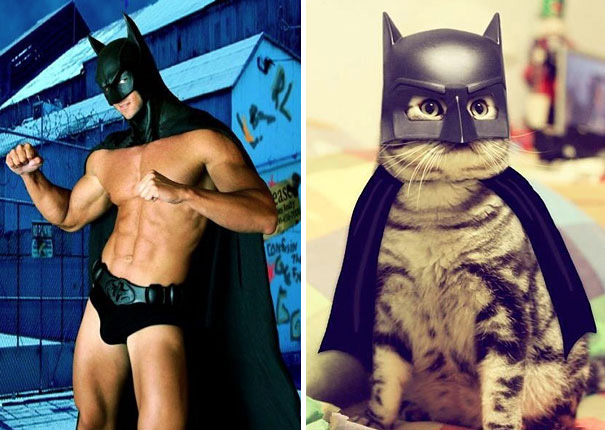 hombre y gato vestidos como el personaje de batman 