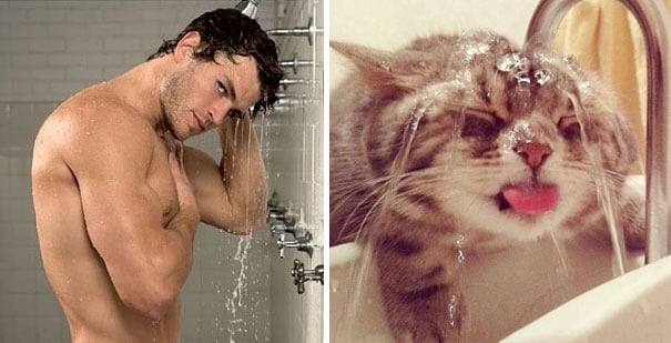 hombre y gato bajo el chorro de agua bañándose 