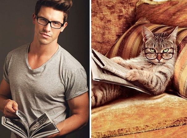 hombre sosteniendo una revista en sus manos y gato con unos lentes acostado en un sillón con un periódico 