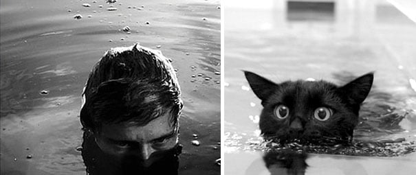 hombre emergiendo del agua y gato saliendo del agua de una bañera 