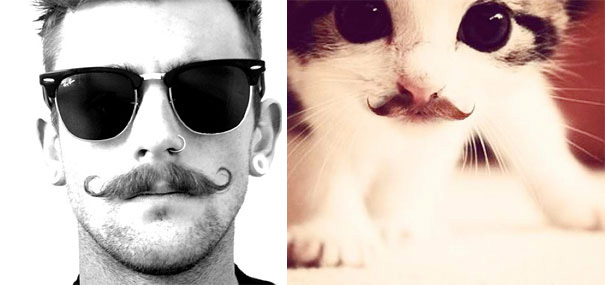 hombre y gato con un bigote grande y lentes 