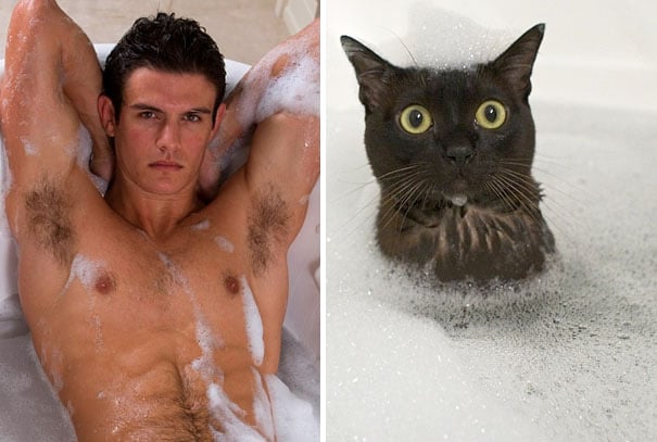 hombre en una bañera tomando un baño de espuma y gato negro de la misma manera 