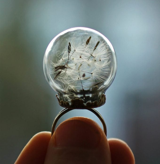 fotografía de manos sosteniendo un anillo donde en la esfera se encapsulan flores de diente de león naturales 