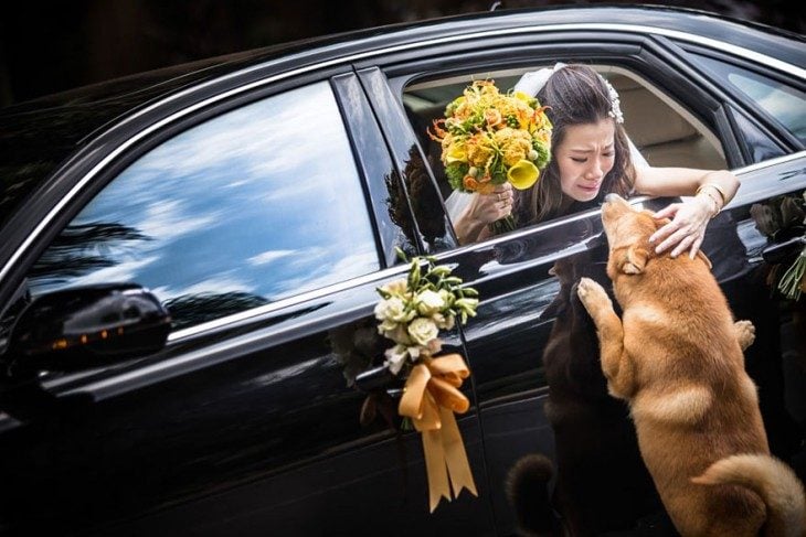 mujer vestida de novia adentro de un carro con la ventana abajo acariciando a un perro 