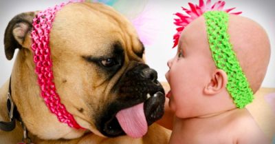 Hermosas fotos de pequeños bebés con sus enormes perros