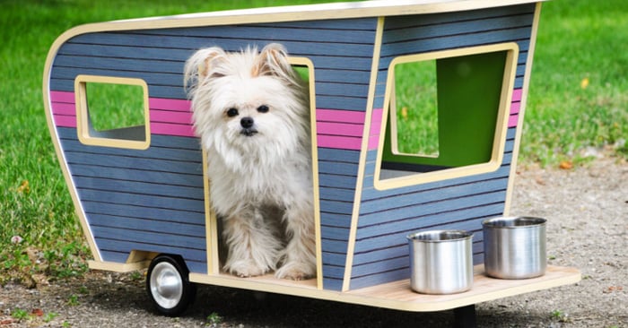 15 Casas para perro que harán a tu mascota la mas feliz del mundo