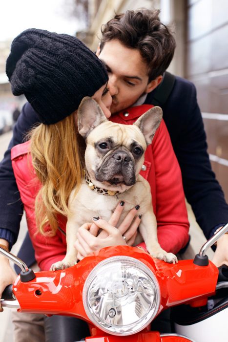 Enamorados en una moto con un perro bulldog francés 