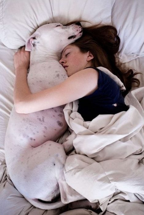 chica durmiendo con un perro gigante