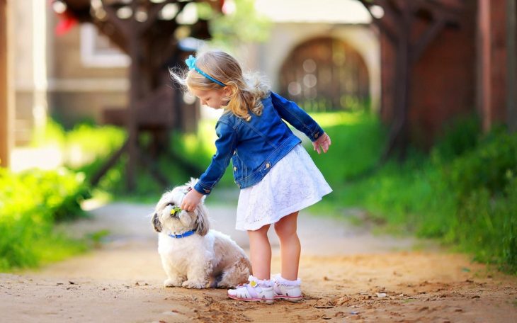 niña jugando con un cachorro 