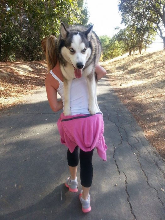 mujer caminando y cargando en brazos a un perro 