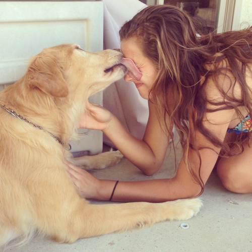 un baboso beso de su mascota golden retriever