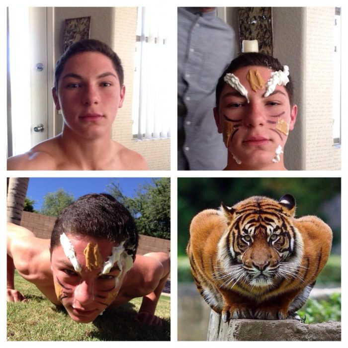 #makeuptransformation Tigre 