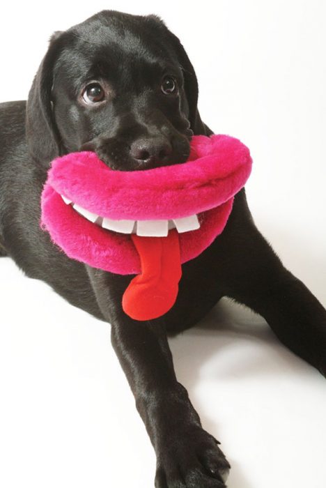 perro con una almohada en forma de labios color rosa 