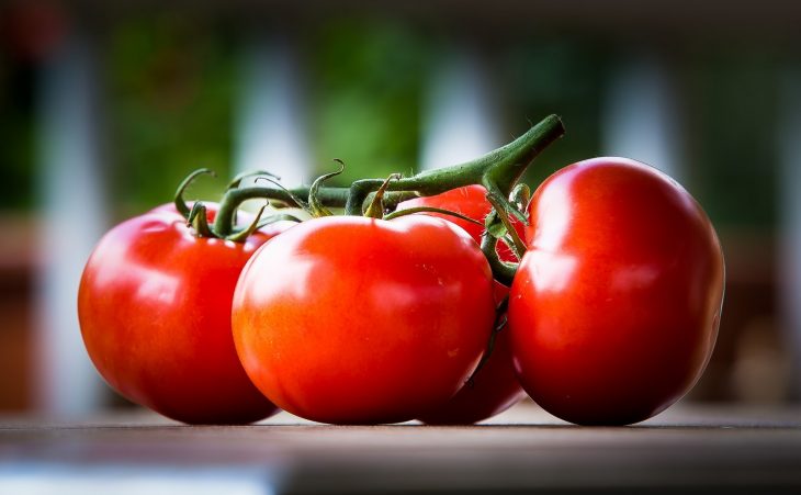 tres tomates servios sobre una mesa 