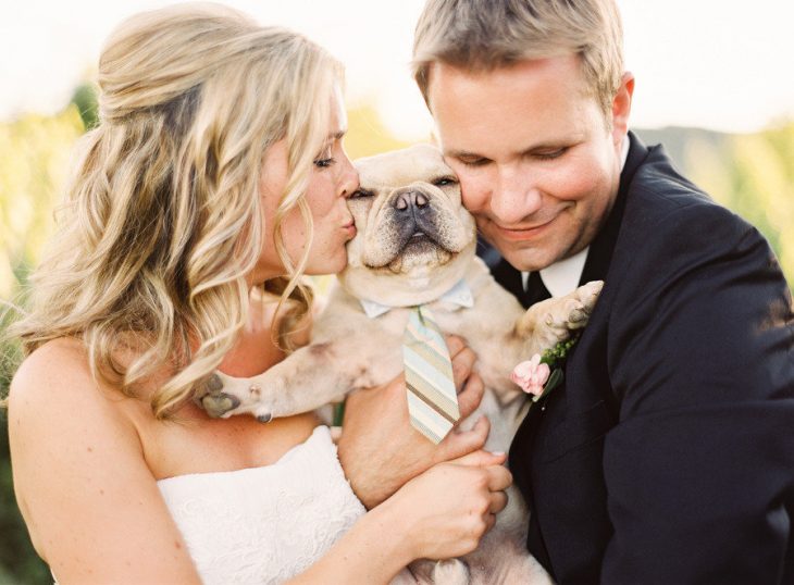 Perro con corbata en la boda de sus amos