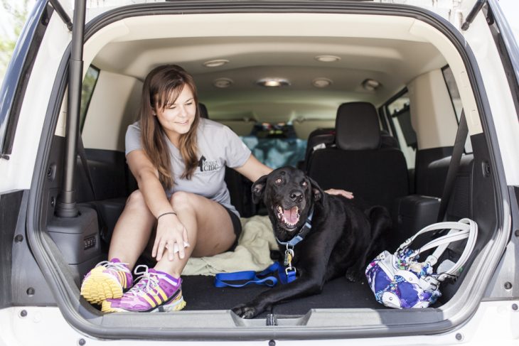 Dukey esperando en una camioneta 