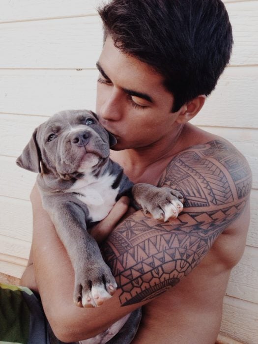 chico con tatuajes besando a un pitbull gris 