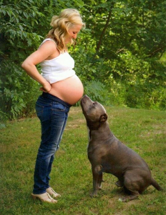 perros y embarazadas (15)