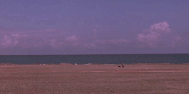 Gif persona corriendo por una playa 